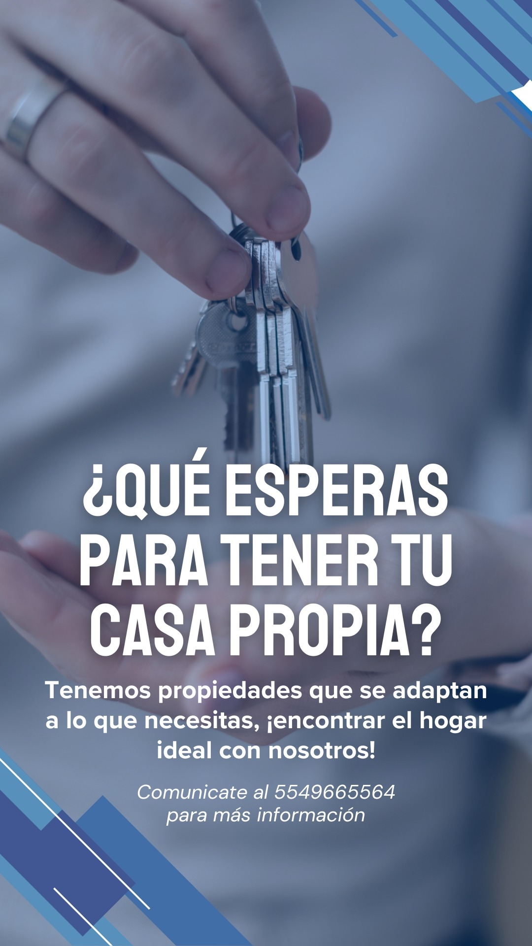 Asesora inmobiliaria